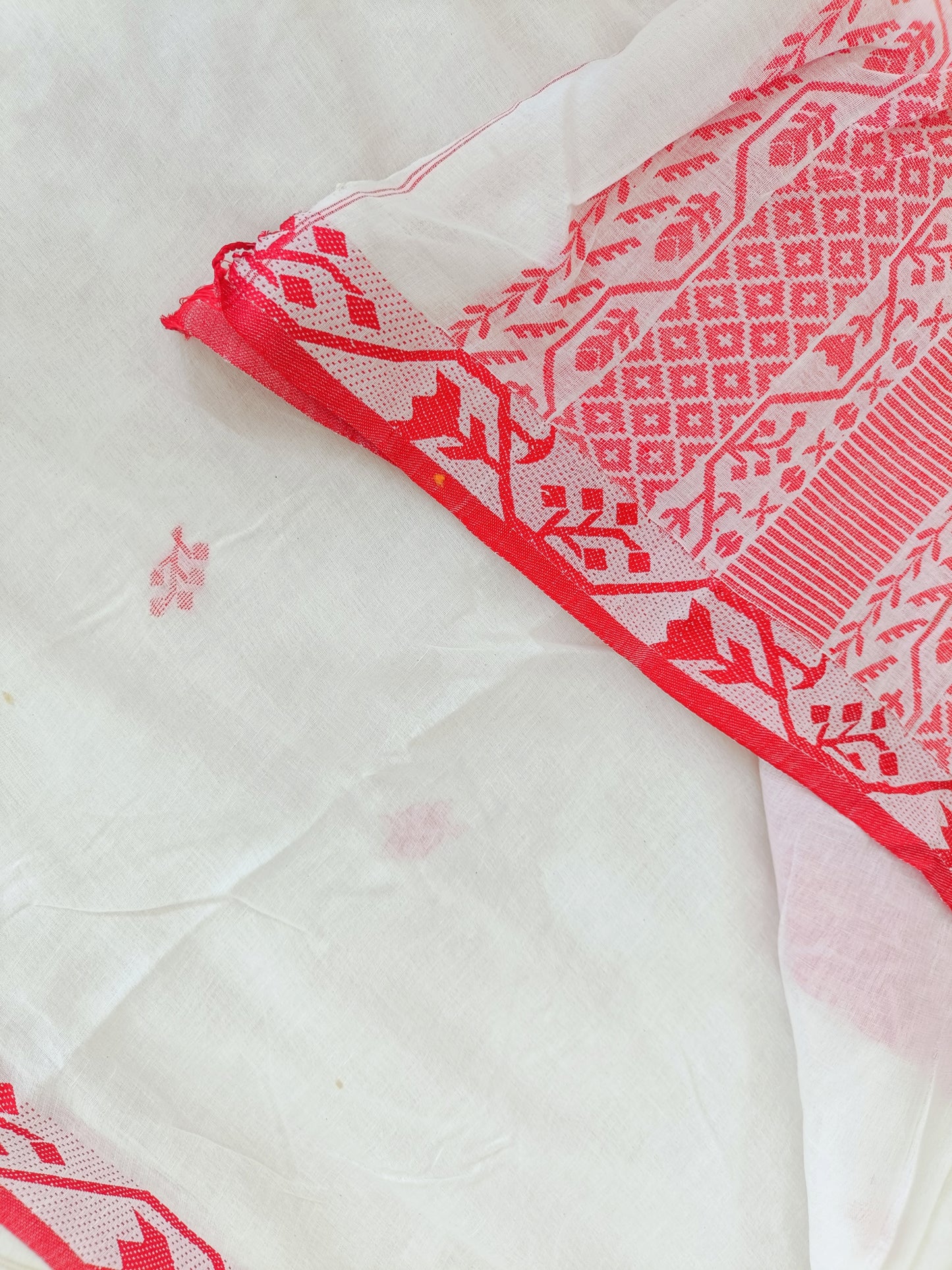अदिती - Bengal Cotton Handwoven Sarees