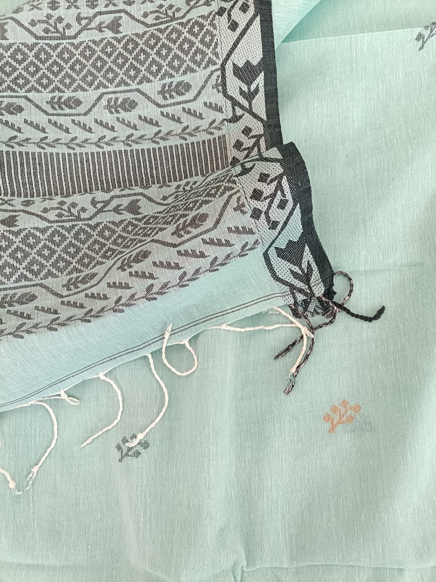 अंशुला - Bengal Cotton Handwoven Sarees