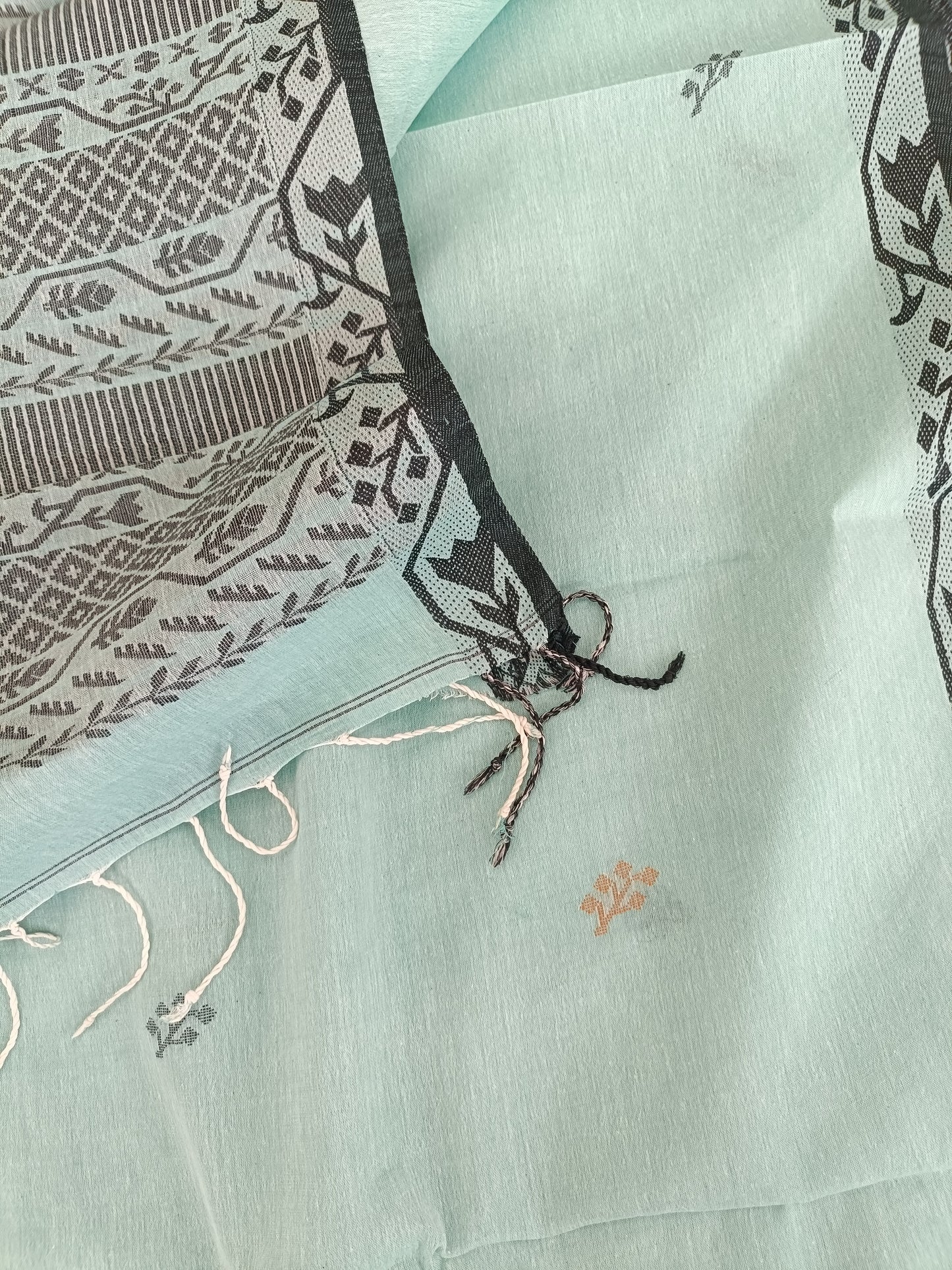 अंशुला - Bengal Cotton Handwoven Sarees