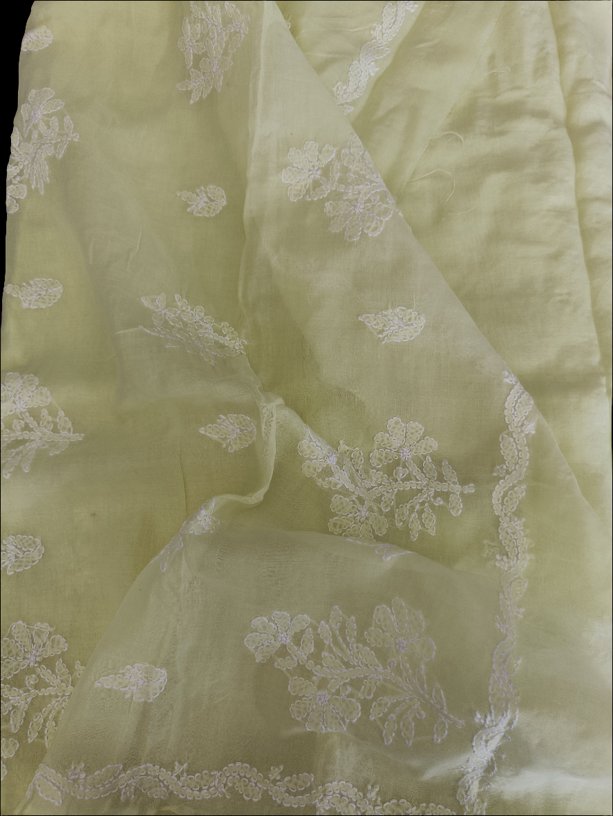 नर्मदा - Chikankari Cotton Saree