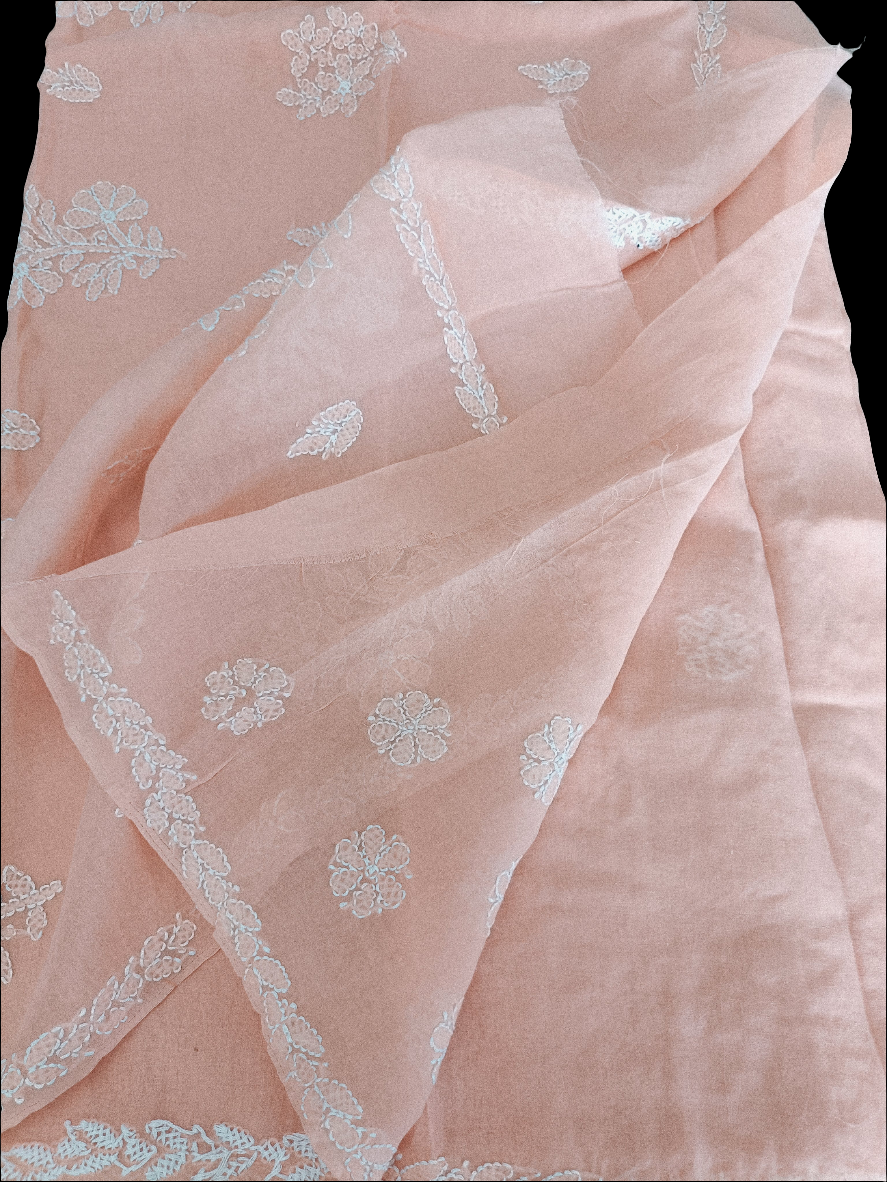 कावेरी - Chikankari Cotton Saree