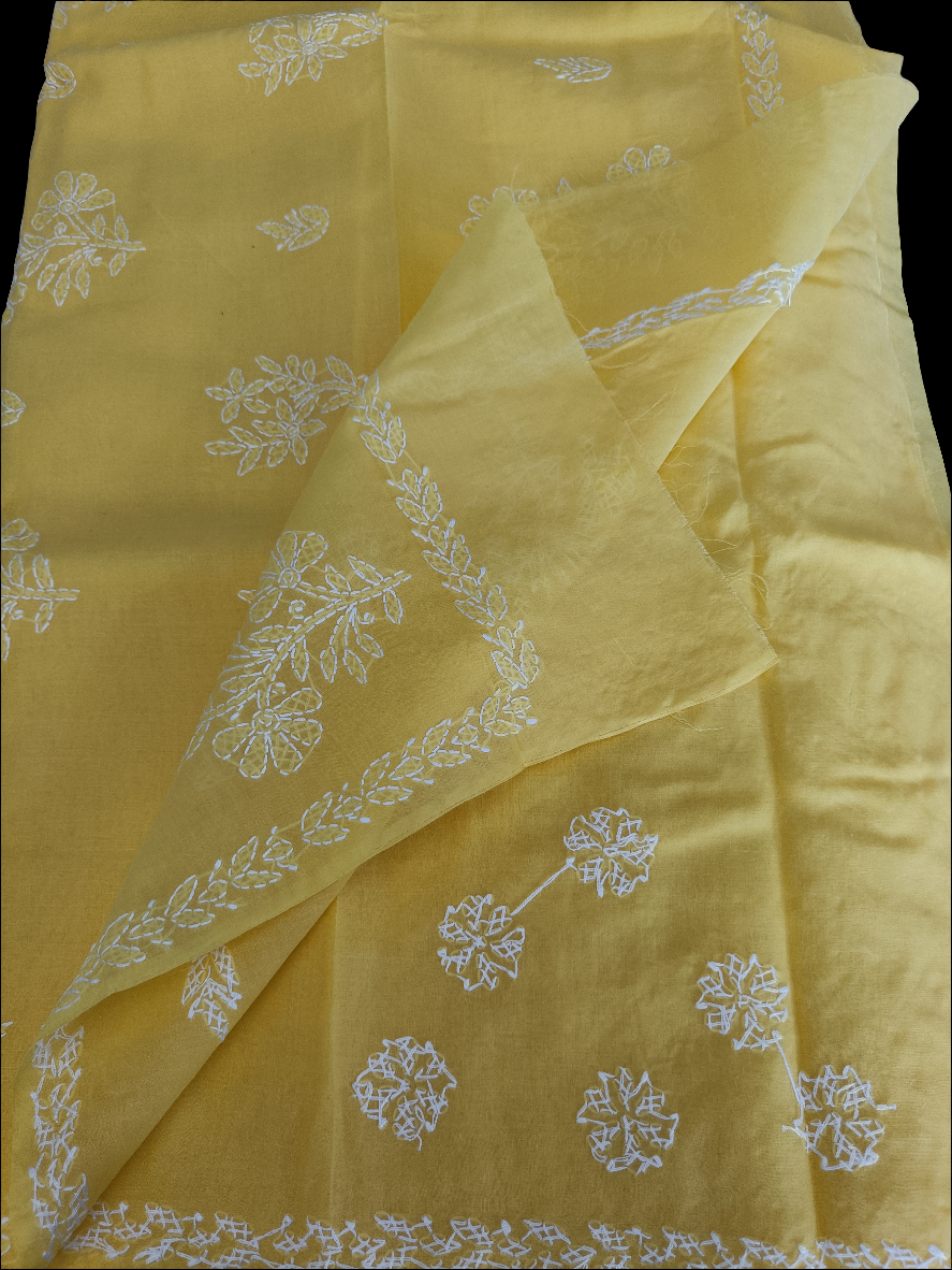 वृषाली - Chikankari Cotton Saree