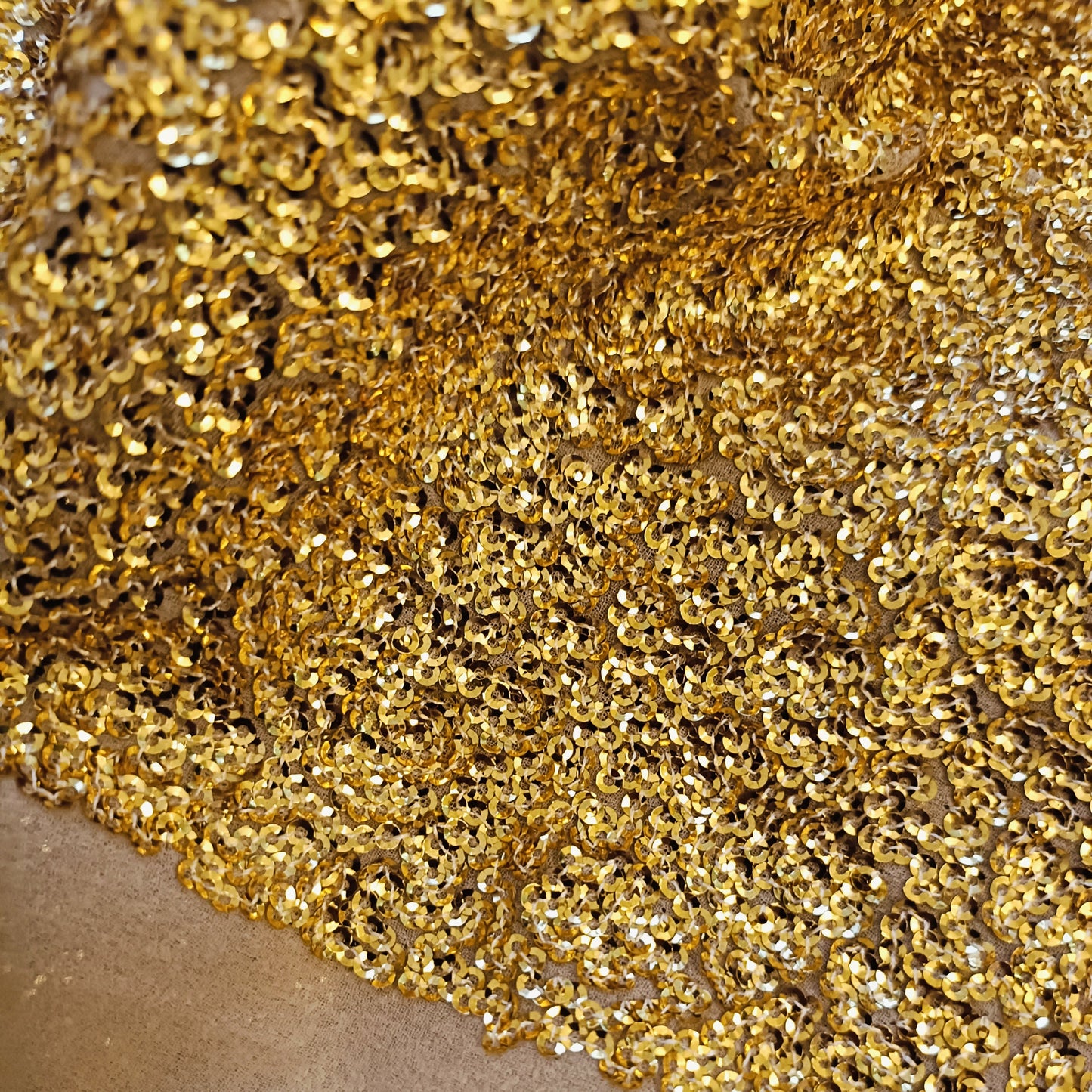 à¤¤à¥‡à¤œà¤¸à¥à¤µà¤¿à¤¤à¤¾ - Premium Georgette Super Sequins Embroidery Fabric - Fabric | Tags: Silk