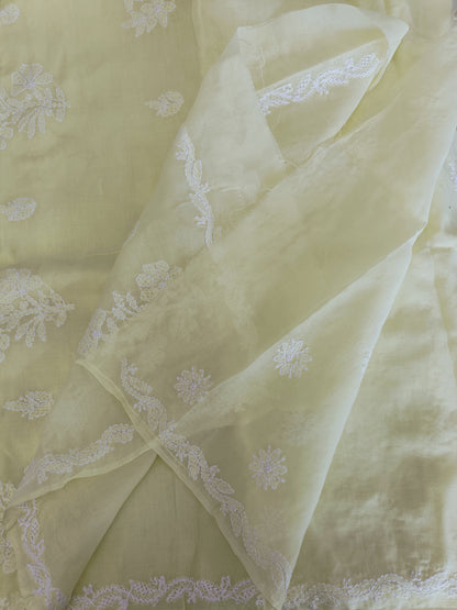 नर्मदा - Chikankari Cotton Saree