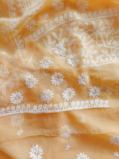 Soft Georgette Chikankari Saree
