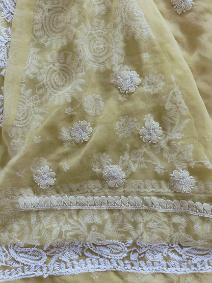 Soft Georgette Chikankari Saree
