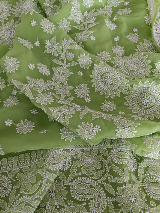 वृतिका़ - Soft Georgette Chikankari Saree
